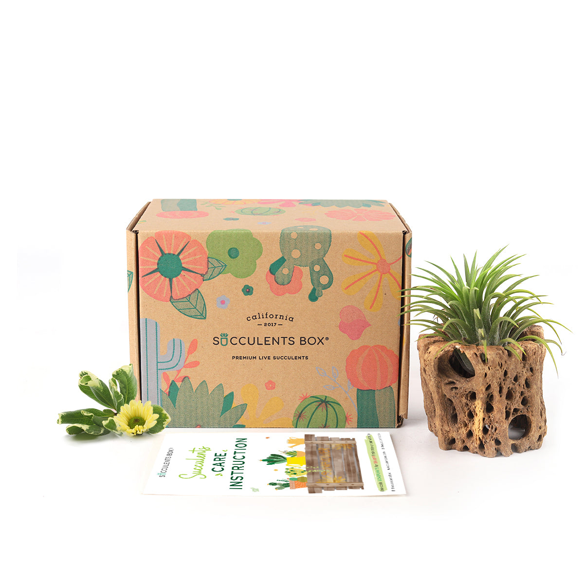Gift 1 Airplant 1 Accessory/ month - 3 month subscription