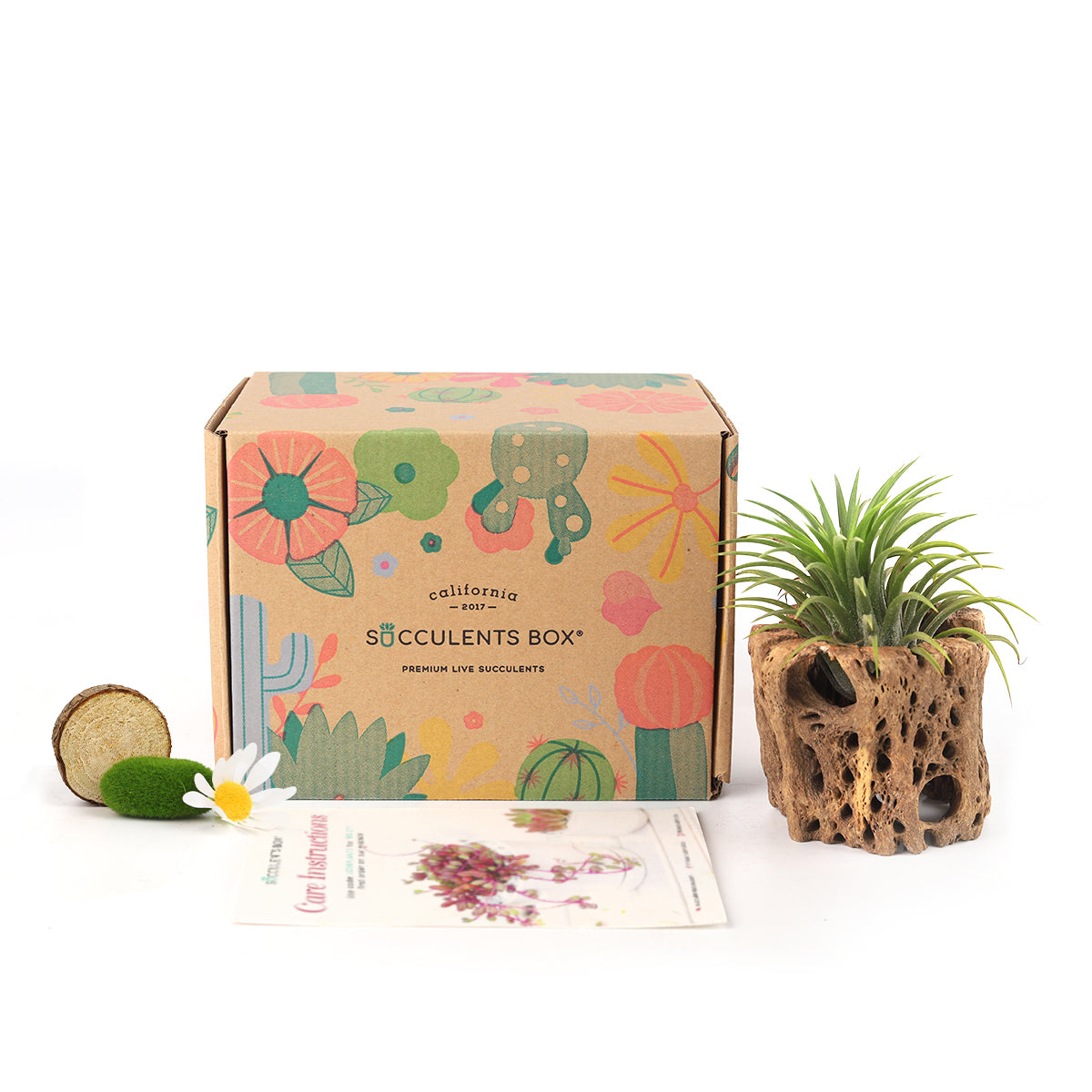 Subscription Box with Care Instruction, Succulent Subscription Box