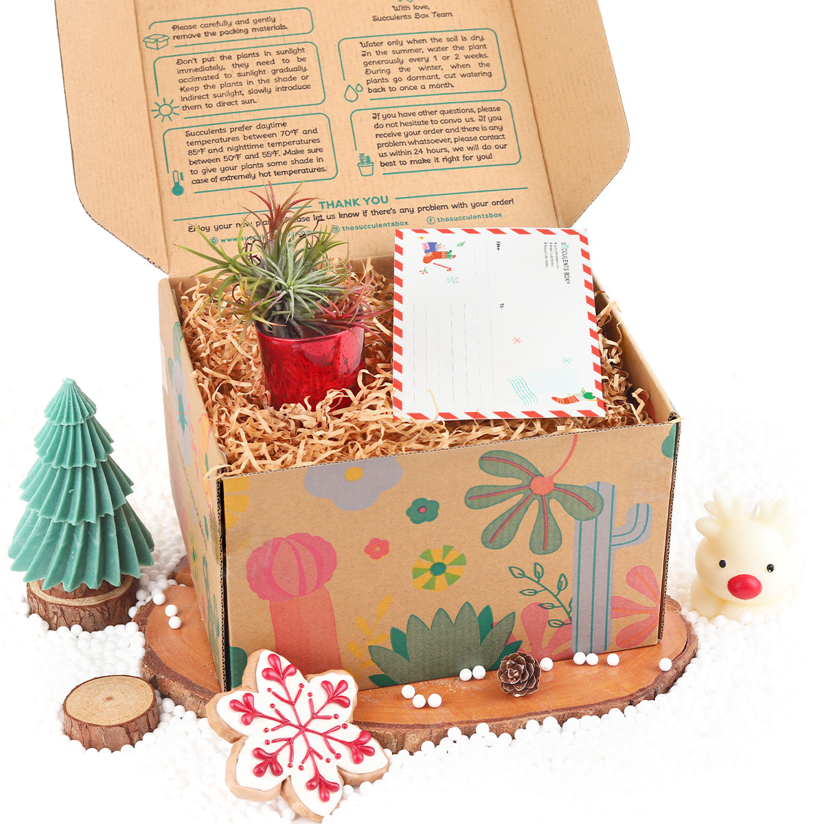 christmas gift box 1 air plant, christmas gift ideas 2025, holiday gifts 2025, gift ideas for plant lovers, unique gift boxes