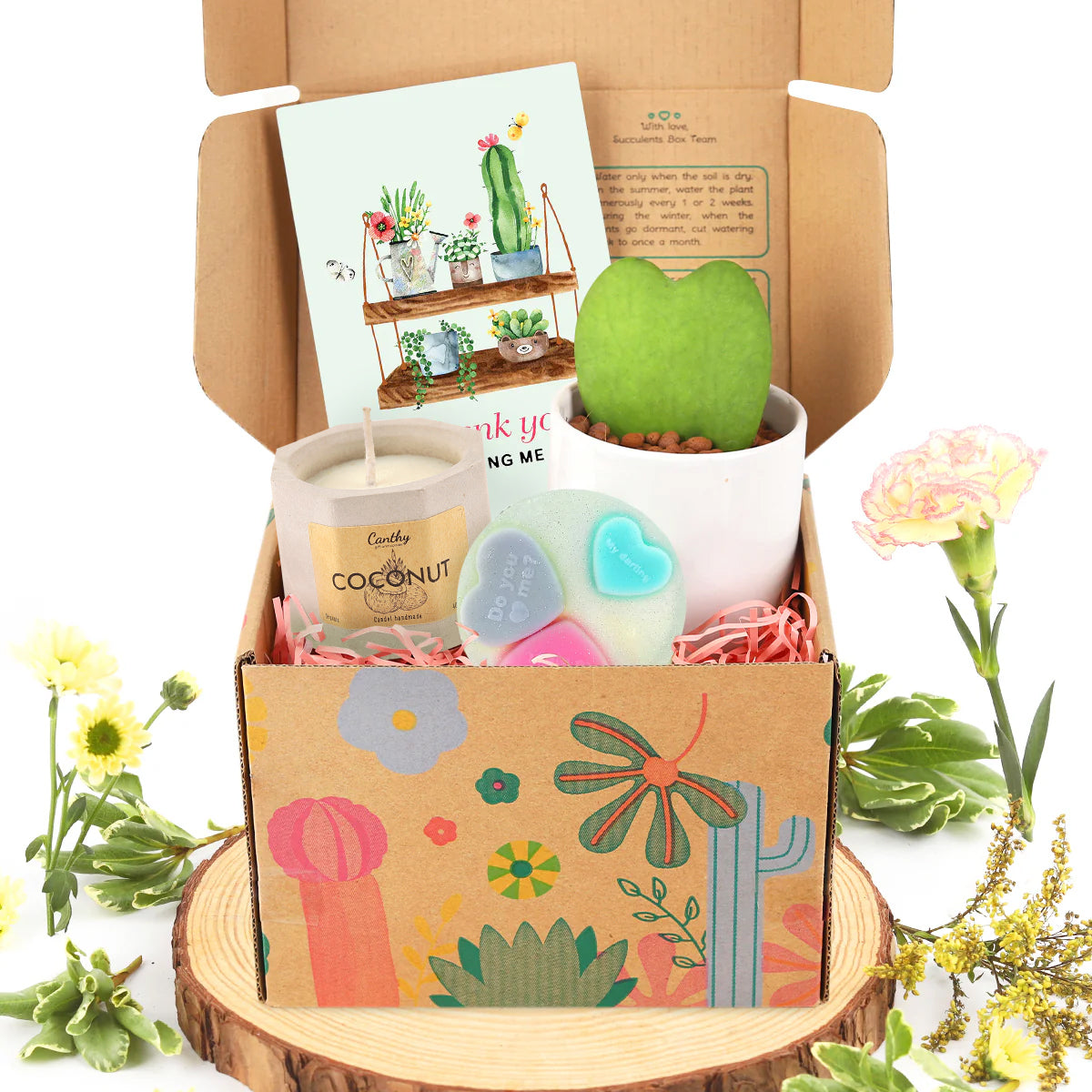 spa relaxing gift set, unique gift for women, 2024 gifts ideas, Buy Succulent Gift Boxes online, Succulent Gift Box delivery
