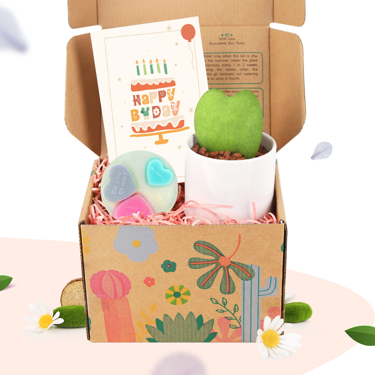 Buy Live Plant Gift Set online, Houseplant Gift Box Delivery, Gifts for Plant Lovers, Unique houseplant gift box with Jelly soap