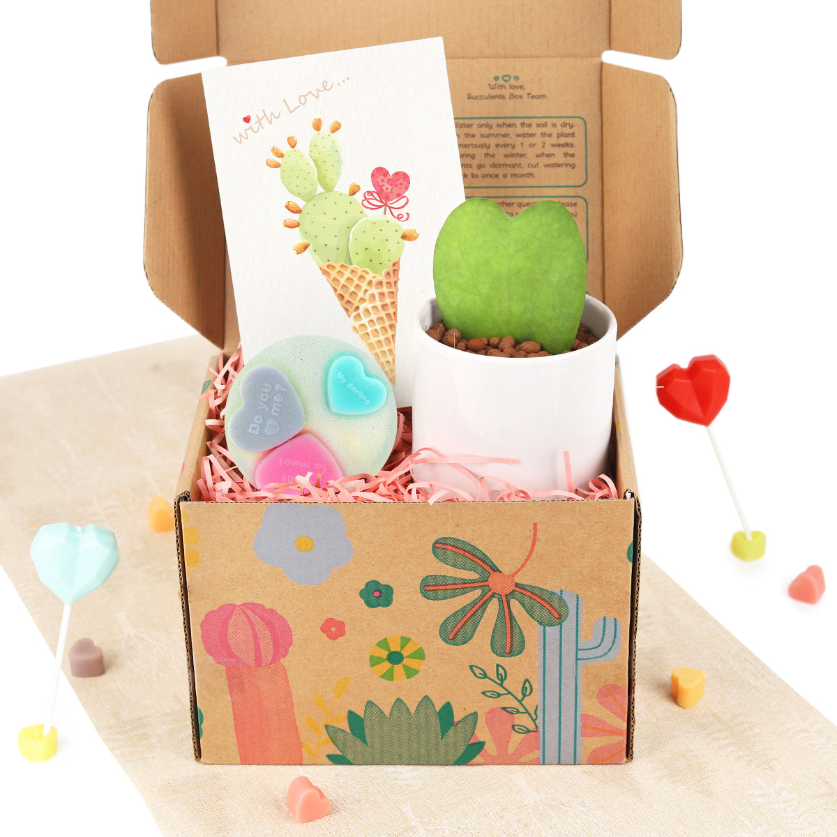 gift box, gift box with houseplant, cute gift box, gift box for valentine&#39;s day, gift box for her 2025
