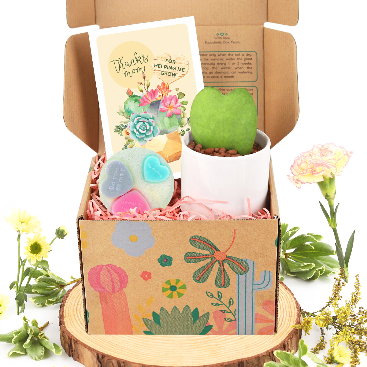 mother day gift box ideas 2024, plants gift box, houseplant gifts, gift for mom ideas