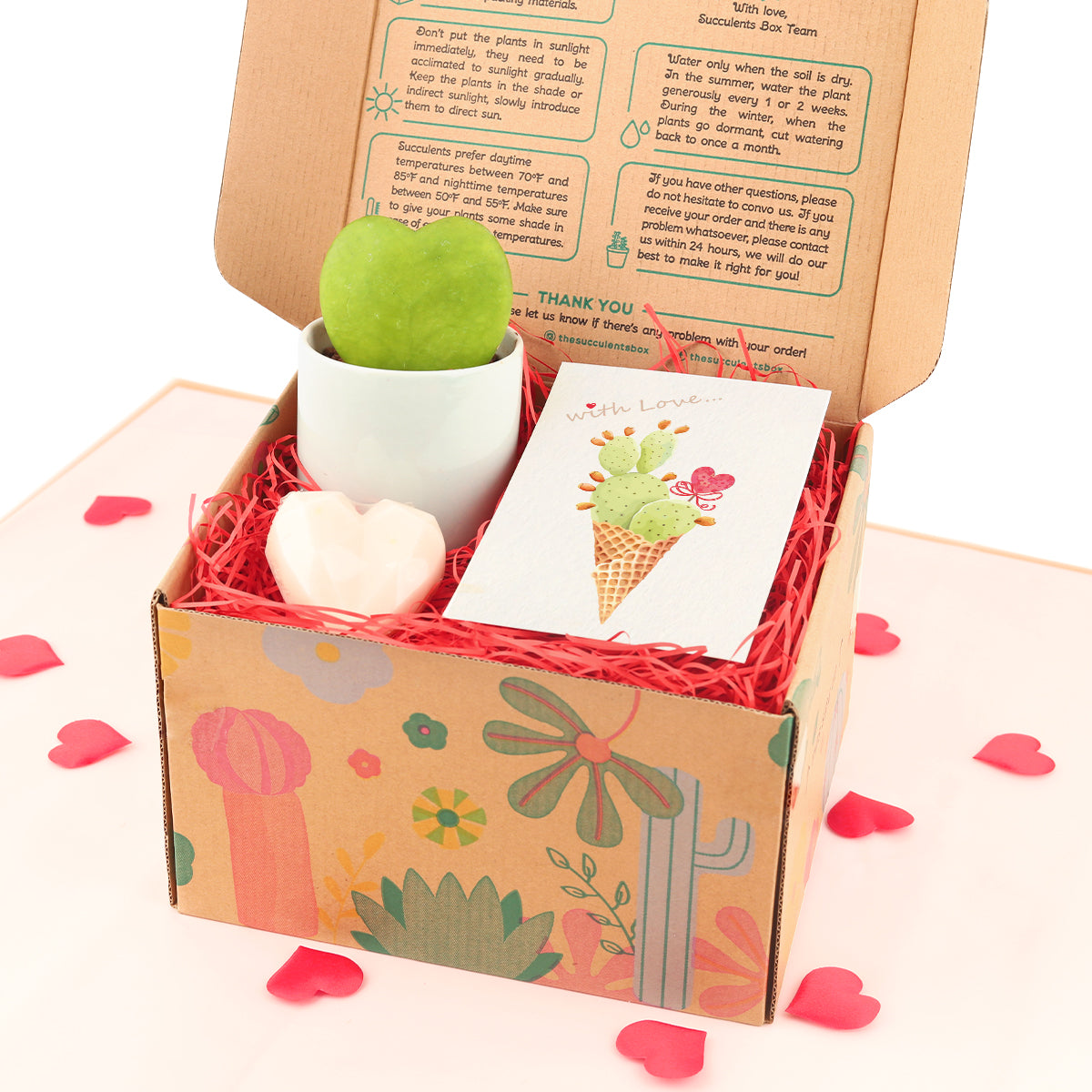 plants gift box 2025, gifts near me, valentine gifts for kids, valentine gifts for her, top 10 valentine gifts for girlfriend, unique gift for girlfriend