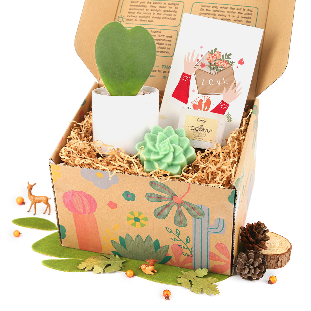 The Gift Box includes 1 Houseplant, 1 Rosette Succulent Soap and 1 Soy Candle, Unique Gift Ideas for Women 2025
