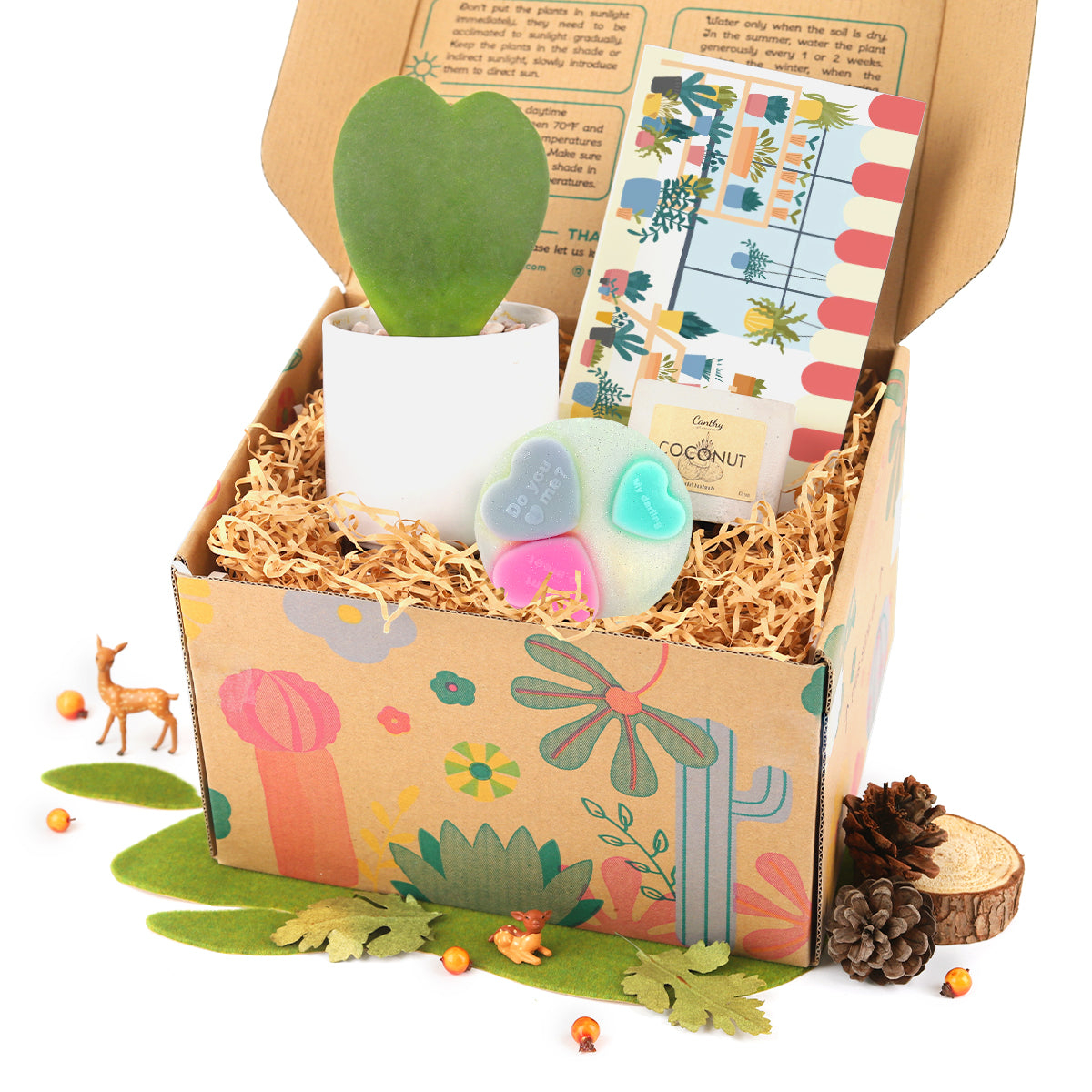 succulent gift box ideas, succulent gift box delivery, succulent gift box, unique succulent gifts 2025