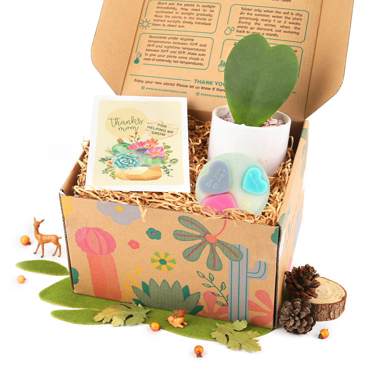 Gift Box 1 Houseplant and 1 Heart Glitter Soap, Perfect Gift for Women, Where to Buy Succulent Gift Box with Greeting Card 2025
