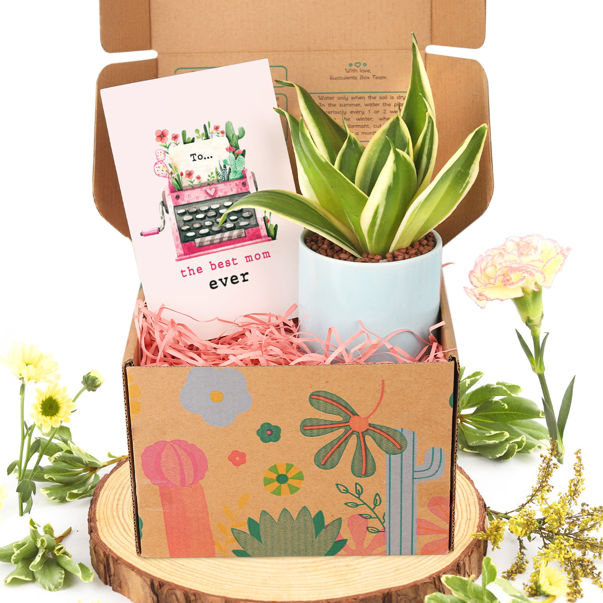 Best ever mom card, Mother's card gift ideas, Buy houseplant gift box online, Live plant gift for mom