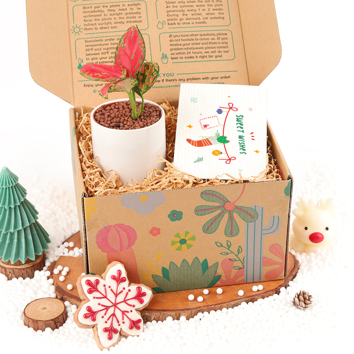 christmas gifts, unique christmas gifts for adults, unique christmas gifts 2025, christmas gifts 2025 for her, christmas gifts for girlfriend