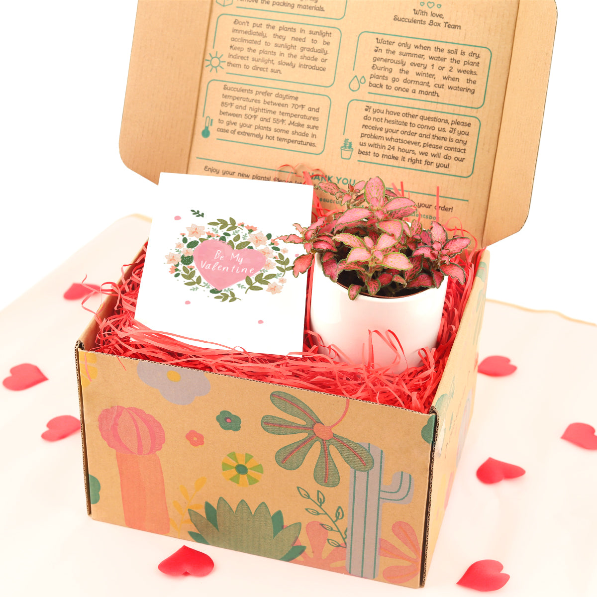 succulents gift box, gifts for plant lovers, 2025 gift ideas, plants gift box 2025, gifts near me, valentine gifts for kids, valentine gifts for her 2025