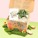 holiday and christmas postcards for sale, christmas postcards ideas 2025, christmas postcards near me