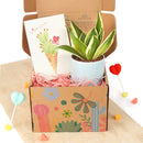 holiday and christmas postcards for sale, christmas postcards ideas 2025, christmas postcards near me