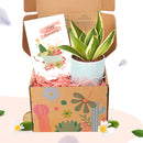 holiday and christmas postcards for sale, christmas postcards ideas 2025, christmas postcards near me