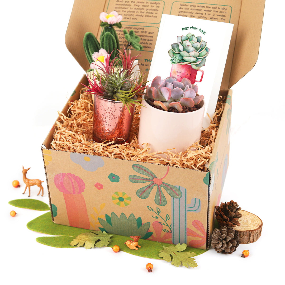 succulent gifts for teachers, succulent gifts for coworkers, succulent gifts for wedding, succulents to ship as gifts