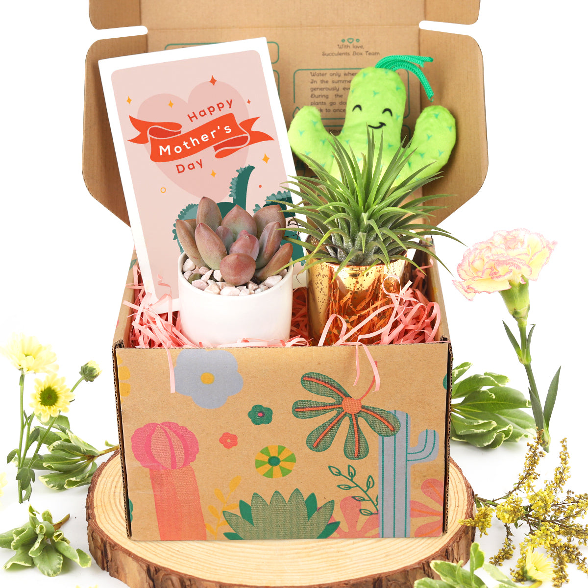 Happy Mother&#39;s Day Card for Sale, Succulent Greeting Card for Mom, Plants as Gifts