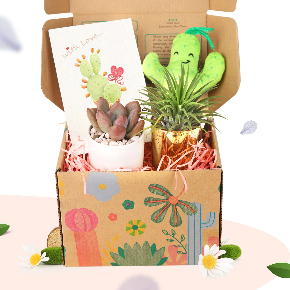 succulent gift box, unique succulent gifts, best succulent gift box, succulent gifts near me