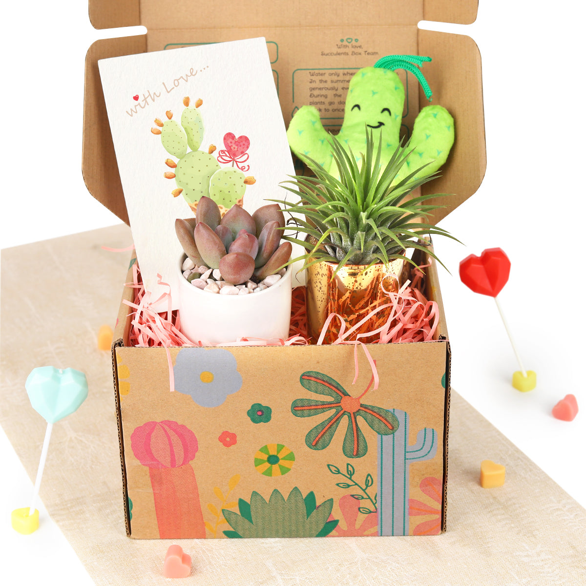 succulent valentine gift, personalized valentine gift, valentine gift near me, valentine gift online, succulents for valentine&#39;s day