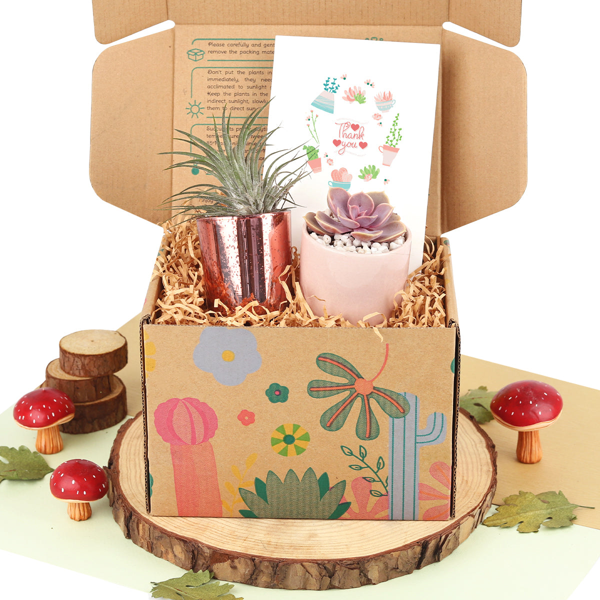 Customizable Gift Boxes for employees and clients, Office gift for employees, Employee appreciation day 2023 ideas, Succulent Plants for Clients & Employees for sale