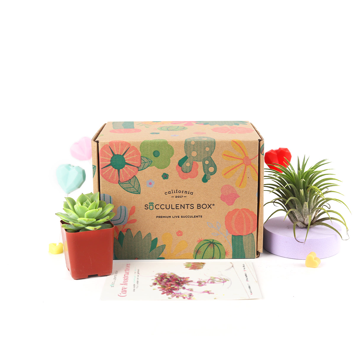 Subscription Box with Care Instruction, Succulent Subscription Box