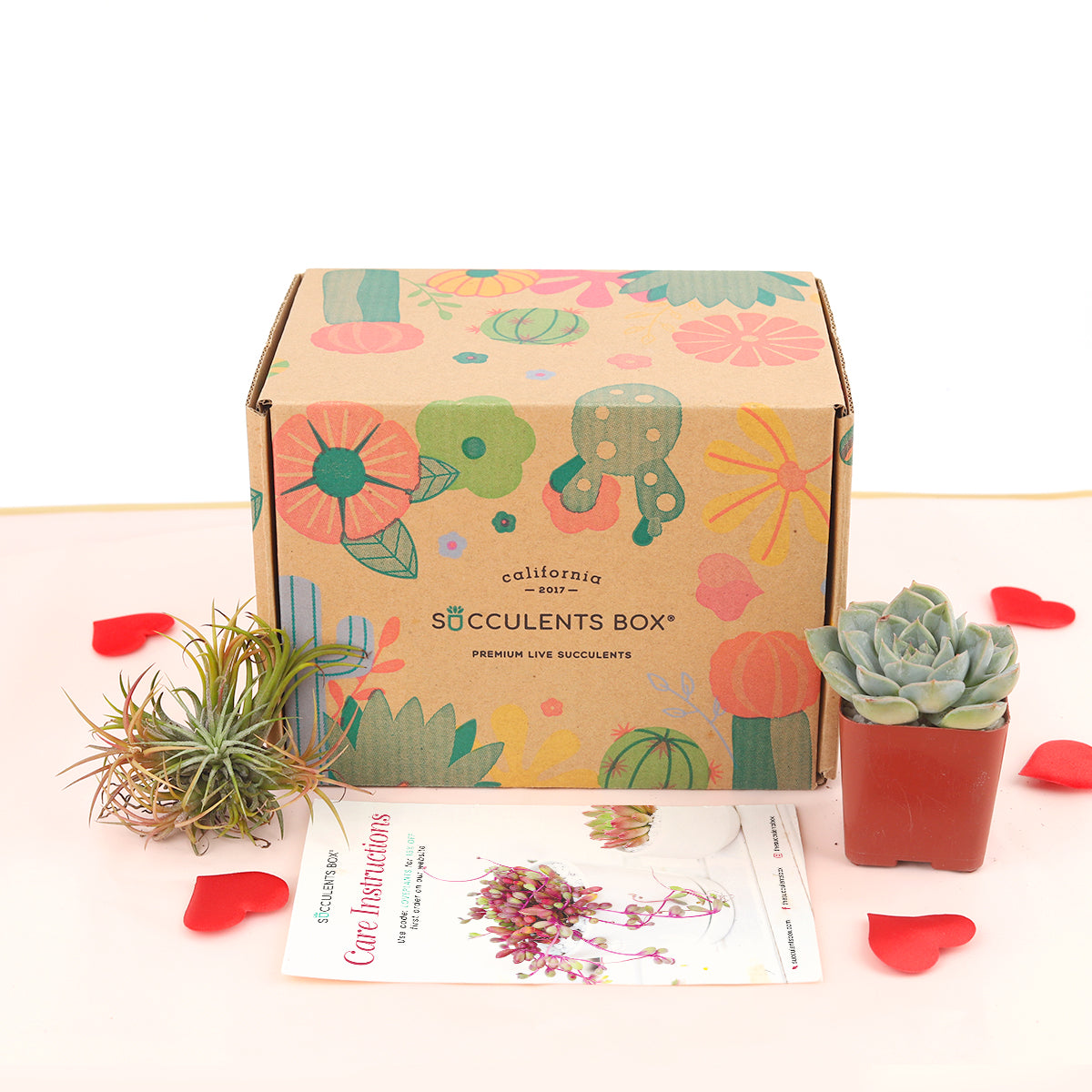 Subscription Box with Care Instruction, Succulent Subscription Box