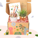 cute holiday cards, modern holiday cards, holiday cards 2025, holiday cards sale