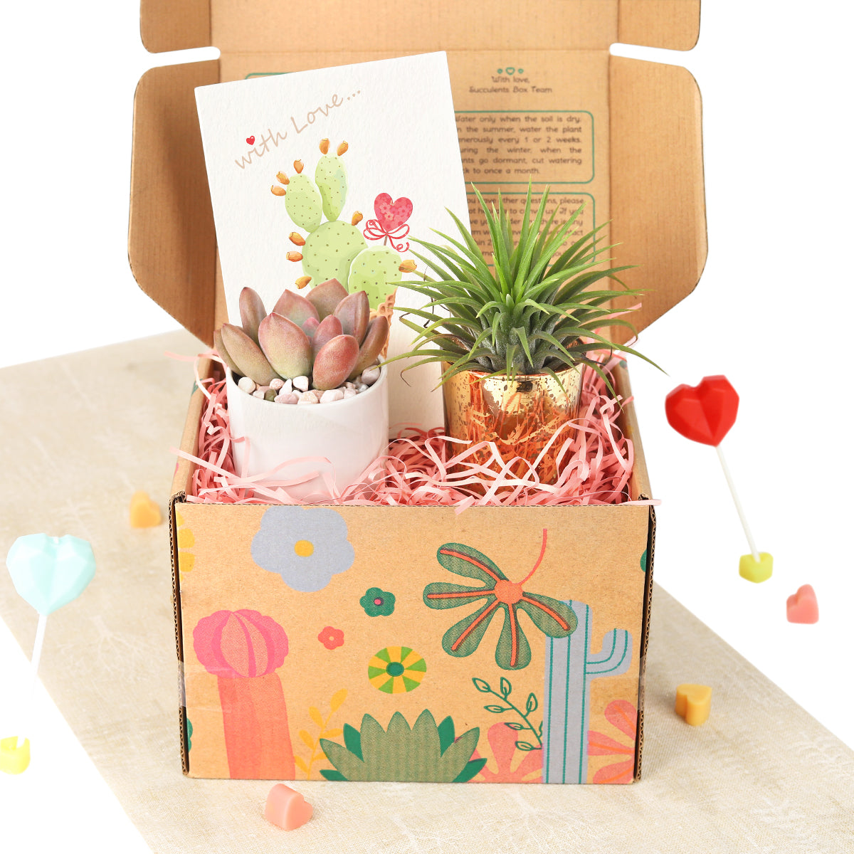 Succulent Plants for Clients & Employees for sale, valentine gift box