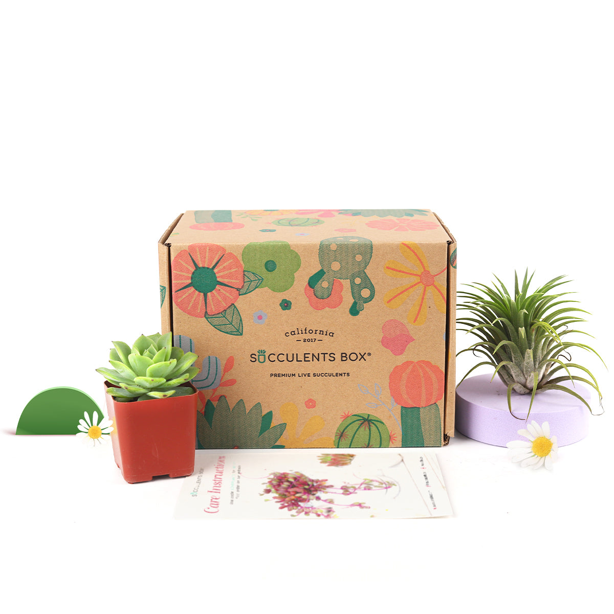 Subscription Box with Care Instruction, Succulent Subscription Box