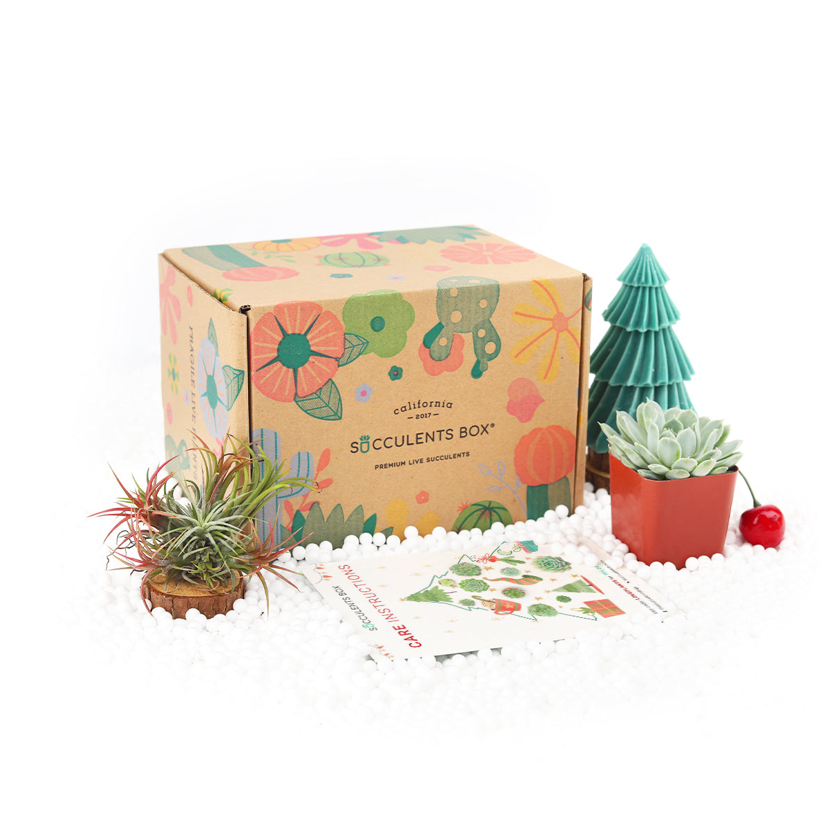 Subscription Box with Care Instruction, Succulent Subscription Box