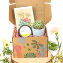 gift box companies, gift box for sale, unique gift box, Thank You Succulent Gift Box for sale online, Thank you Personalized Succulent Gift Box Set, Succulent and Candle Gift Set for sale, Mother&#39;s Day Plant Gift Ideas 2025