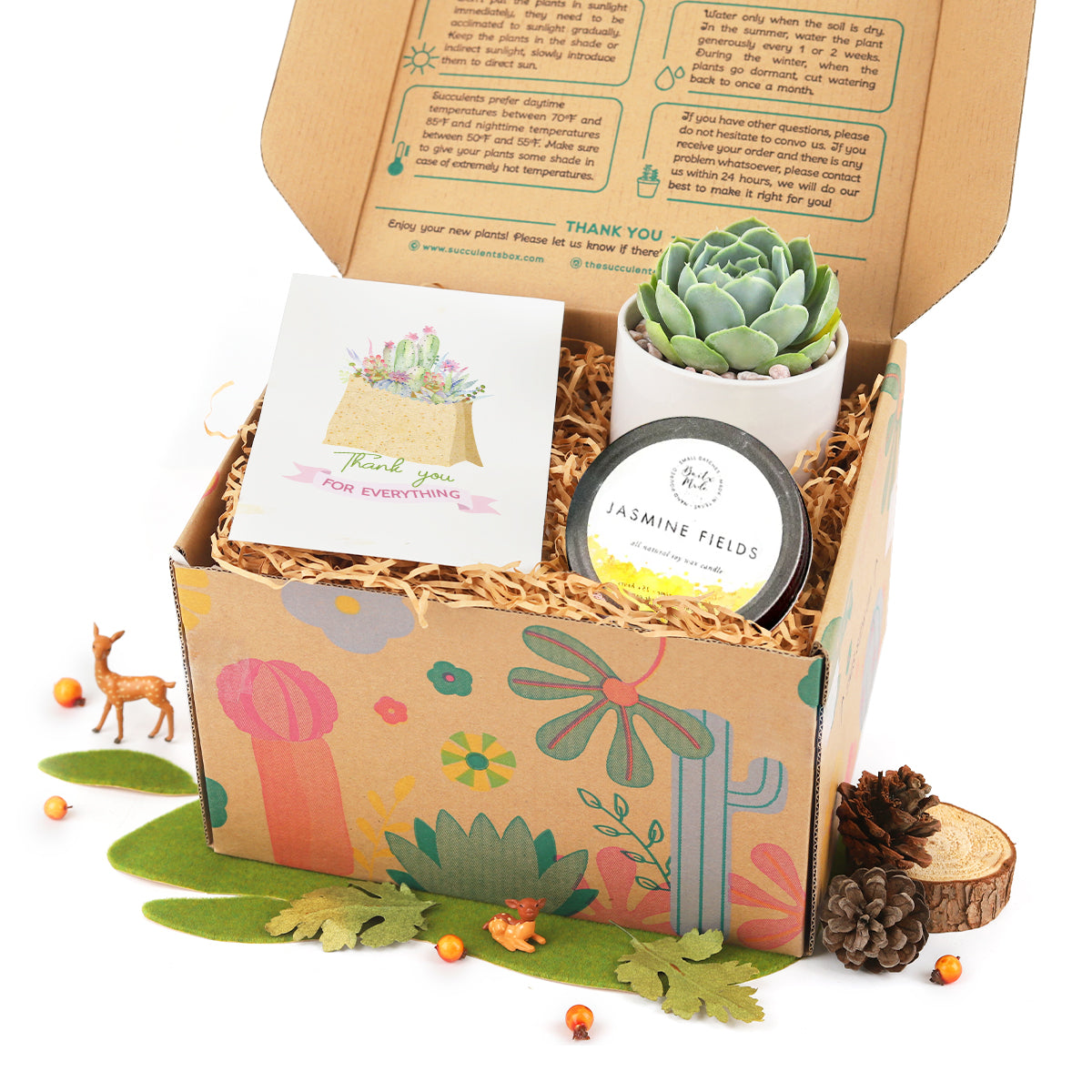 Thank You Gift Box includes 1 Potted Succulent and 1 Jasmine Scented Soy Candle, Premium Succulent Gift Box with Thank You Greeting Card for Sale 2025