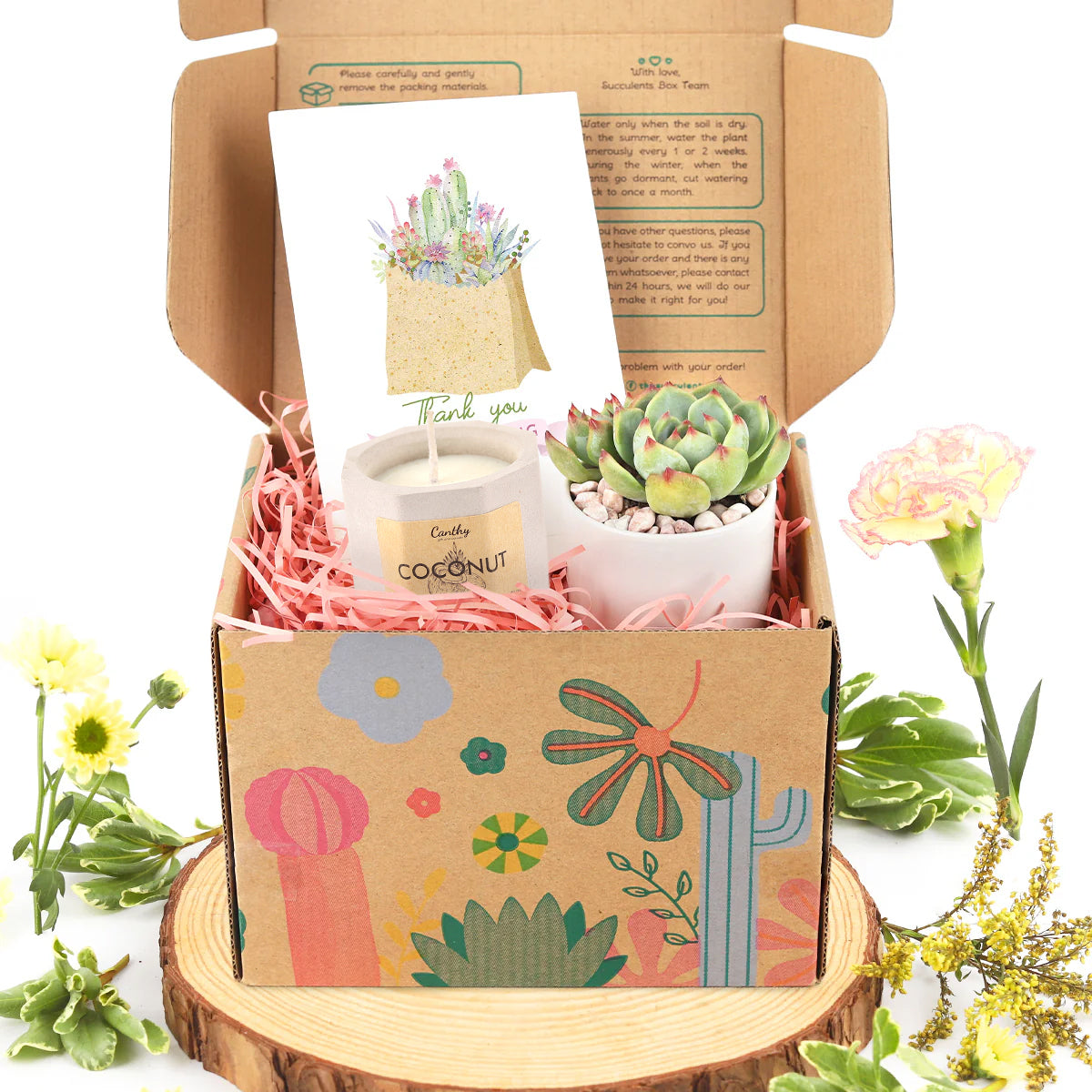 gift box ideas 2025, gift for plant lovers, succulents in ca, succulents