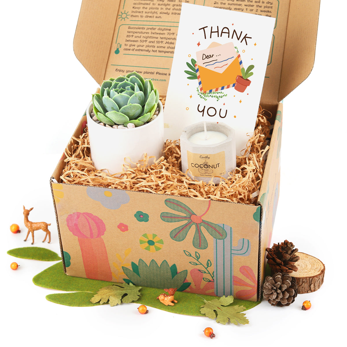 Gorgeous Gift Box includes 1 Potted Succulent 1 Soy Candle and 1 Greeting Card, Shop Succulent Gift Box for Any Occasion, Premium Gift Set for Women, Live Succulent as Gift