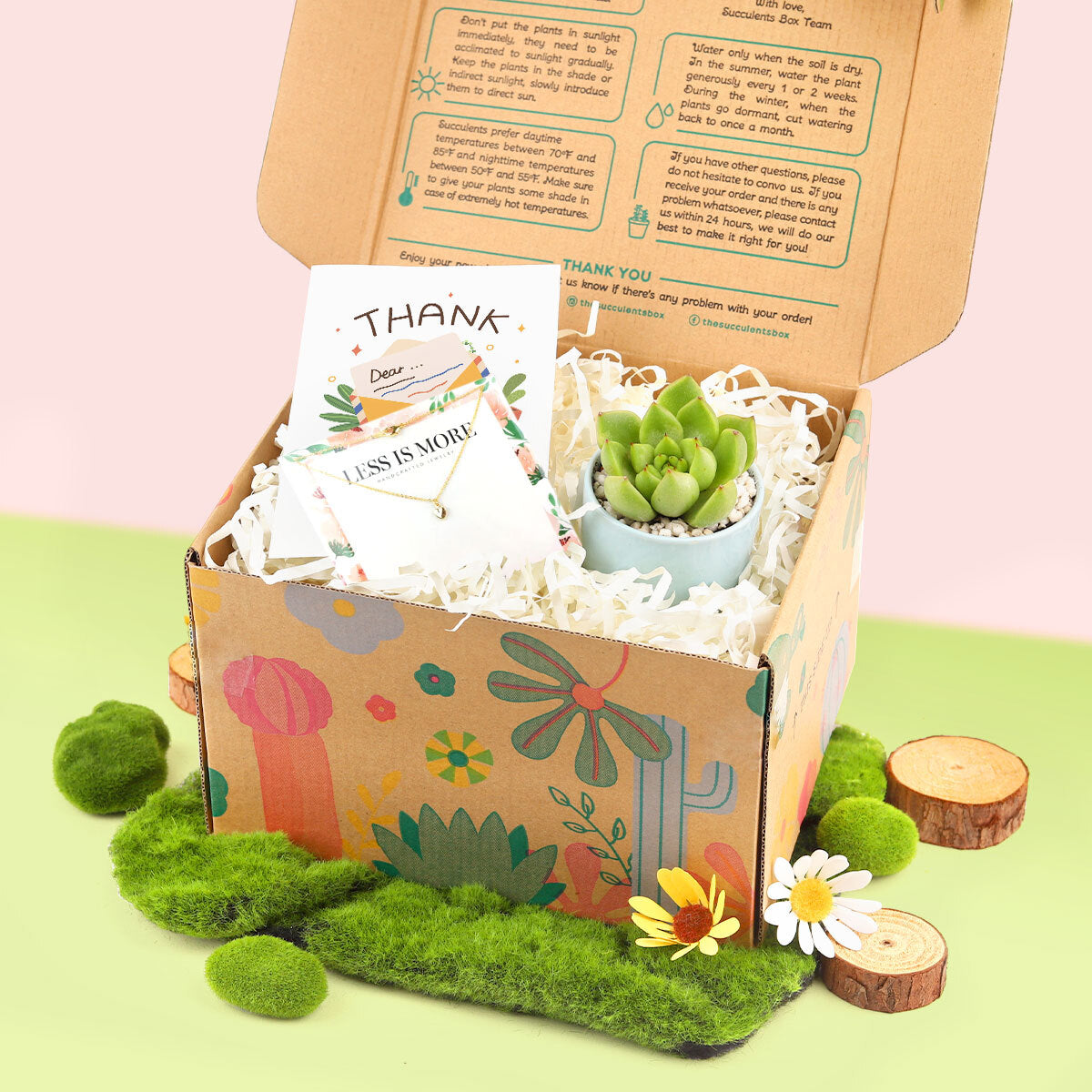 succulent mother's day gift Mother's Day Gift Box
