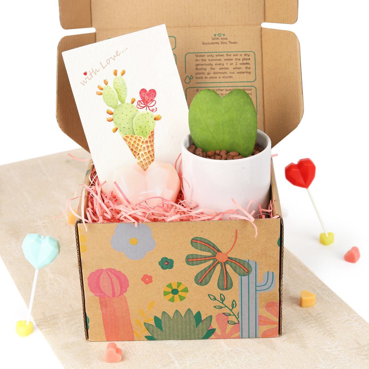 Valentines Gift Box - 1 Hoya Kerrii Heart and 1 Heart Shaped Soap
