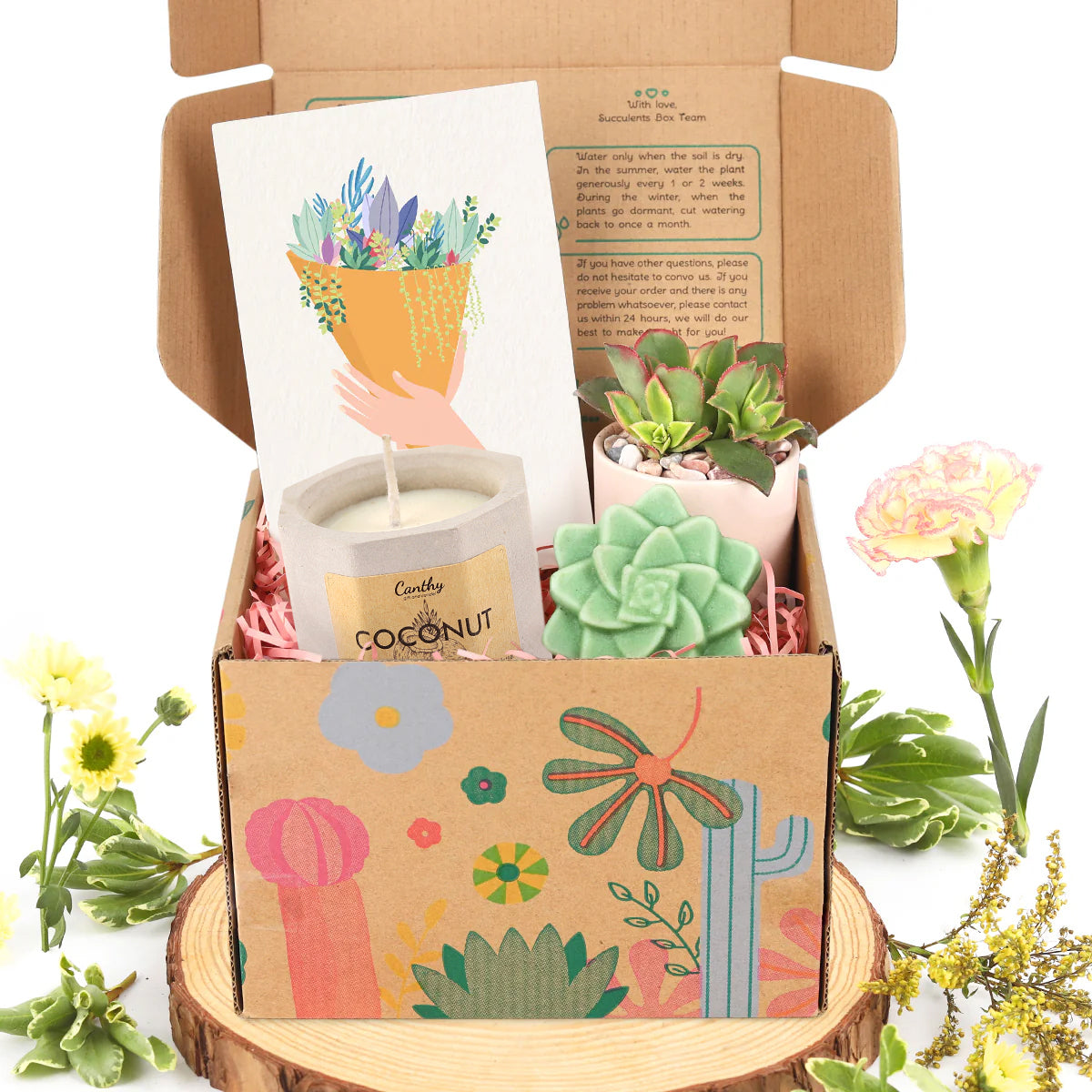 succulents gift box, gift box with candle and soap, gift ideas 2025