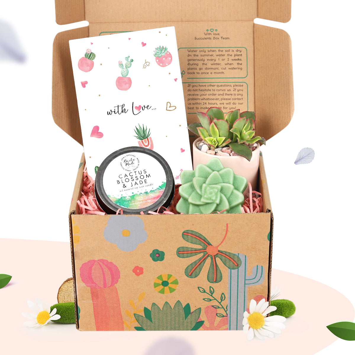 succulent gift box, gift box ideas 2025, 2025 gift for mom, 2025 gift ideas