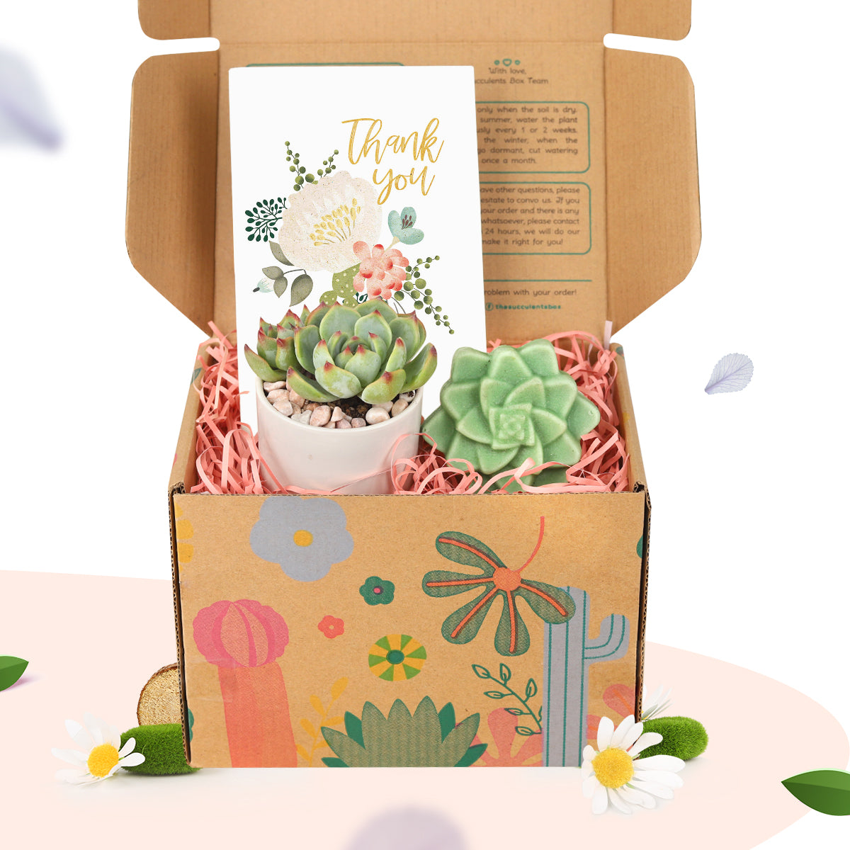 succulent gift box delivery, succulent gift box, unique succulent gifts, best succulent gift box, succulent gifts near me 2025