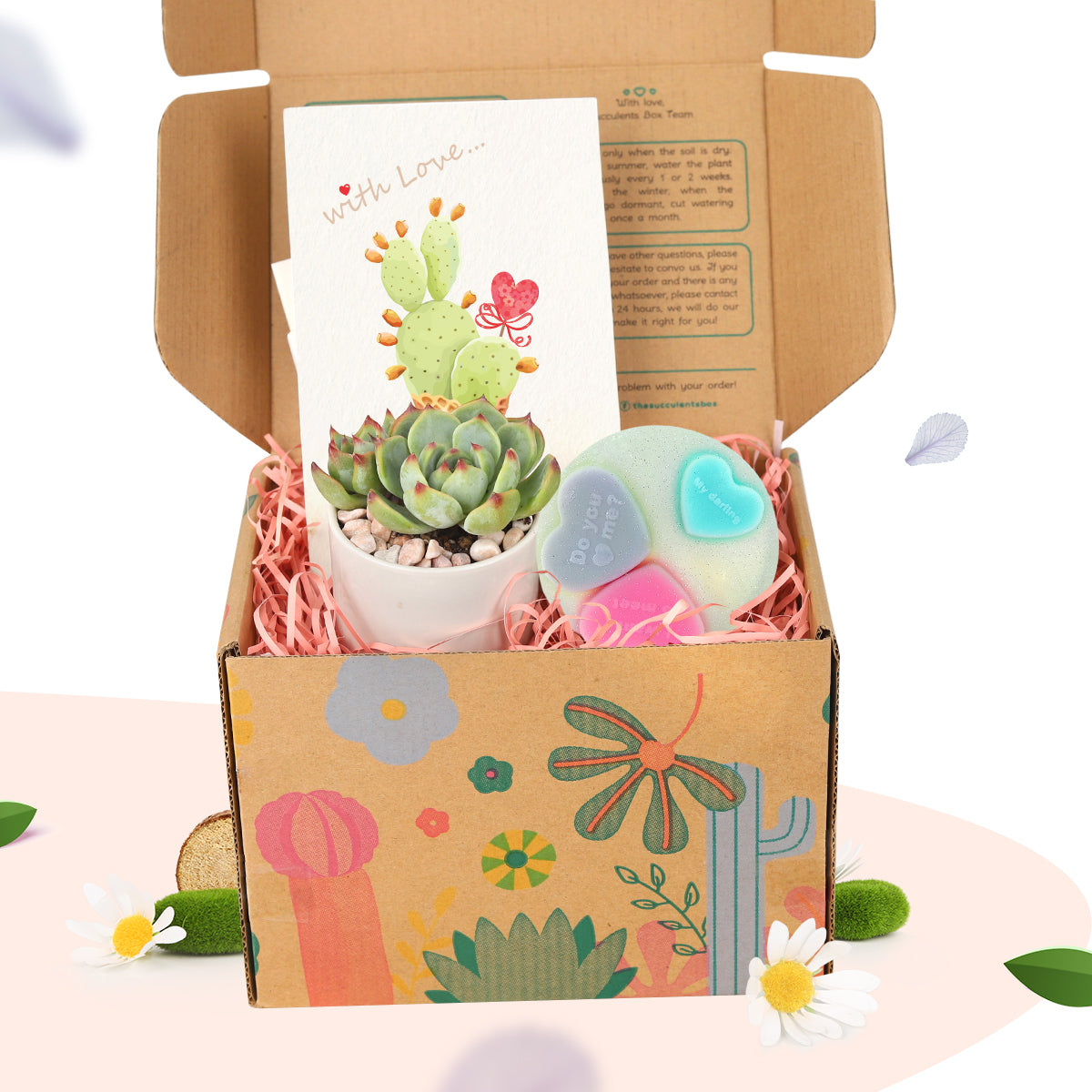 Gift Box includes 1 Potted Succulent and 1 Heart Glitter Soap, Unique Succulent Gift Box for Women, Best Place to buy Plant Gift Box at Any Occasion 2025