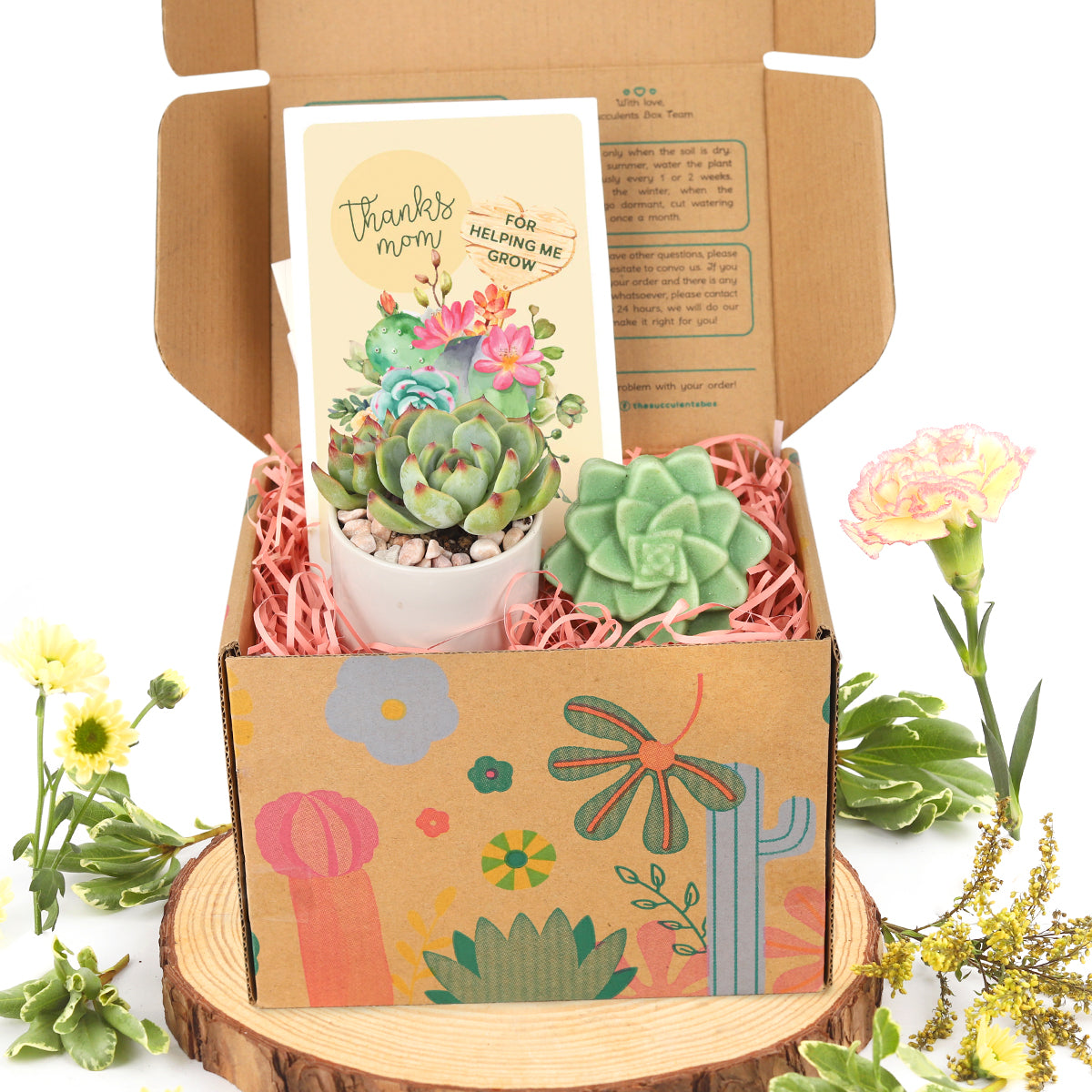 Mother's day succulent gift box, Buy Mom Plant Gifts Online, Unique gift ideas for Mom