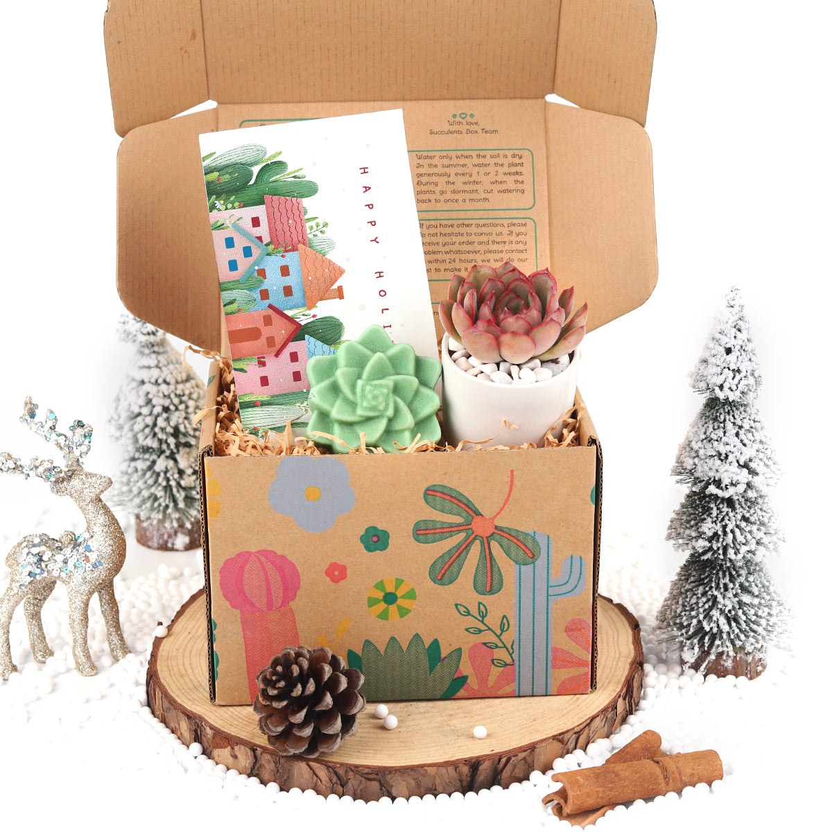 birthday gift box, large gift box, surprise box gift, succulent gift box, gift box for women, small gift box