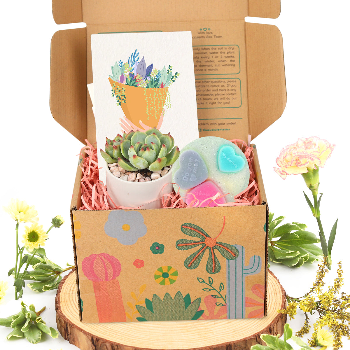 succulents gift box, mother day gifts 2025, mother day gift set, unique gift for women