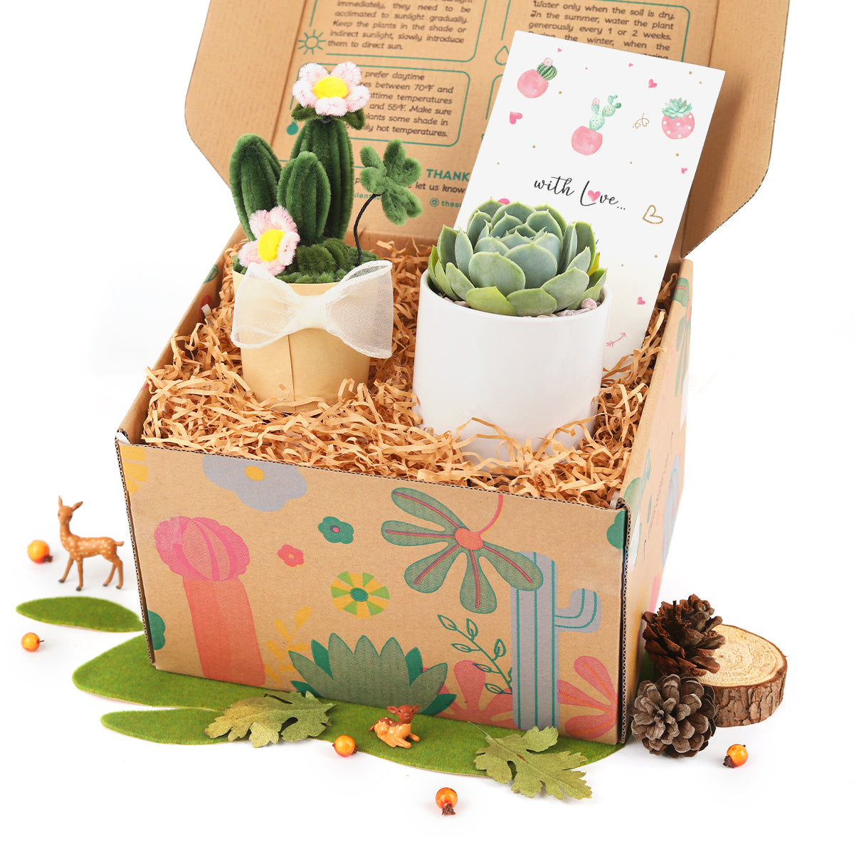 best succulent gift box, succulent gifts near me, succulent gifts for teachers, succulent gifts for coworkers