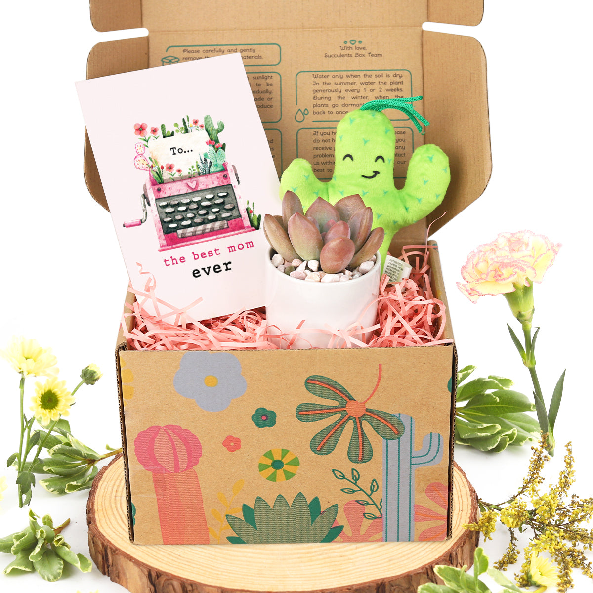 Best mom ever succulent gift box, Unique Mother's Day Gift Ideas