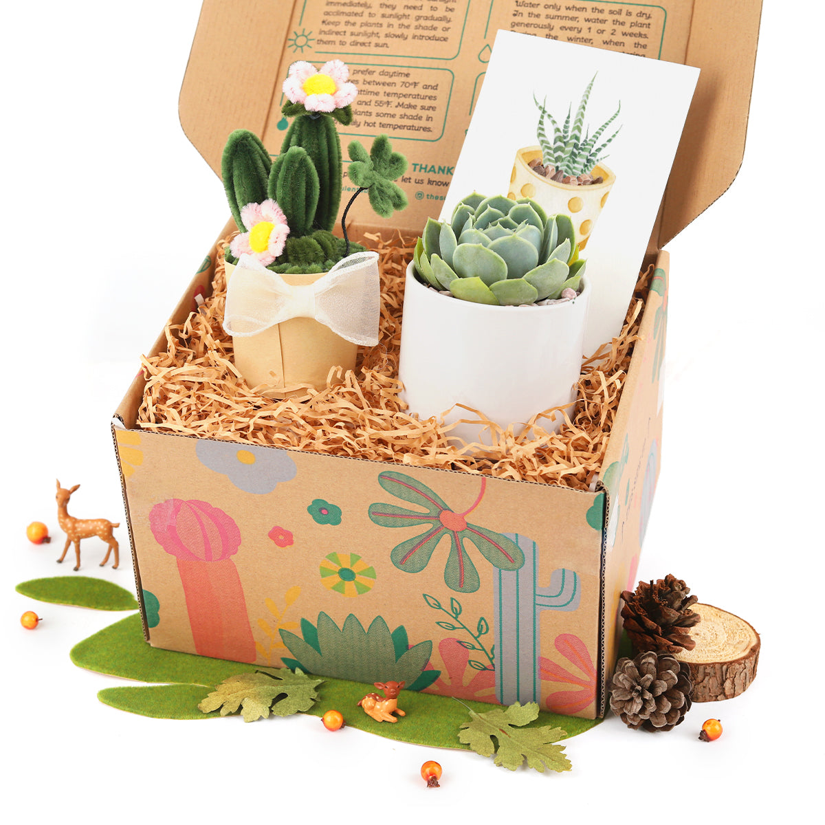 Gift Box includes 1 Potted Succulent and 1 Felt Wire Cactus Pot, Unique Succulent Gift for Plant Lovers, Cute Succulent Gift Box for Kids