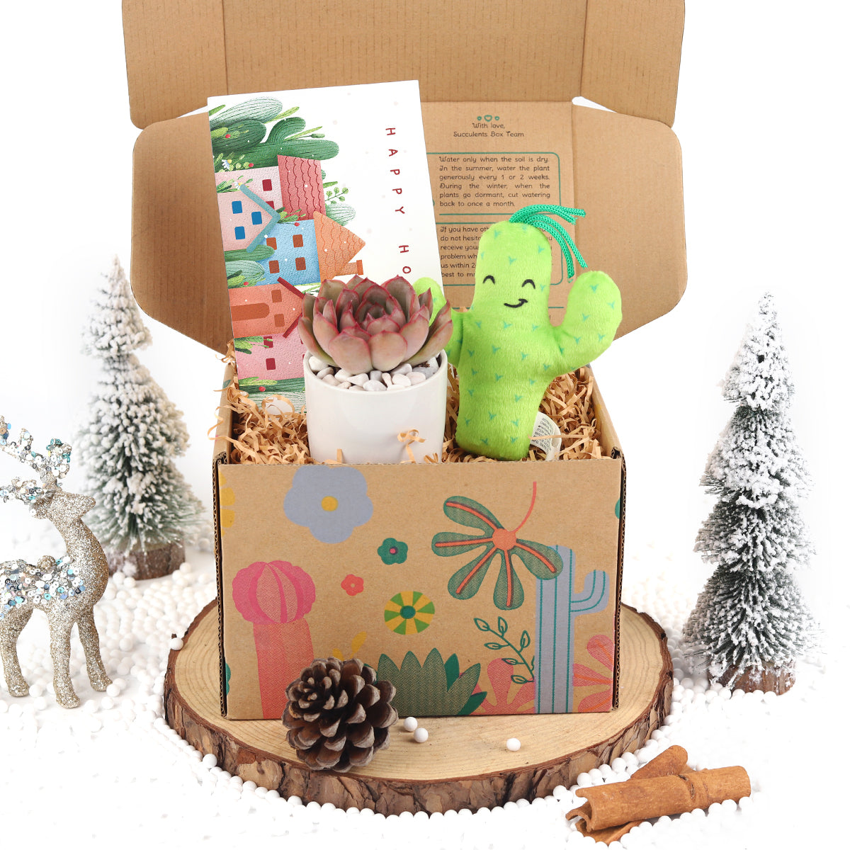 birthday gift box, large gift box, surprise box gift, succulent gift box, gift box for women, small gift box, surprise gift box, best friend gift box ideas