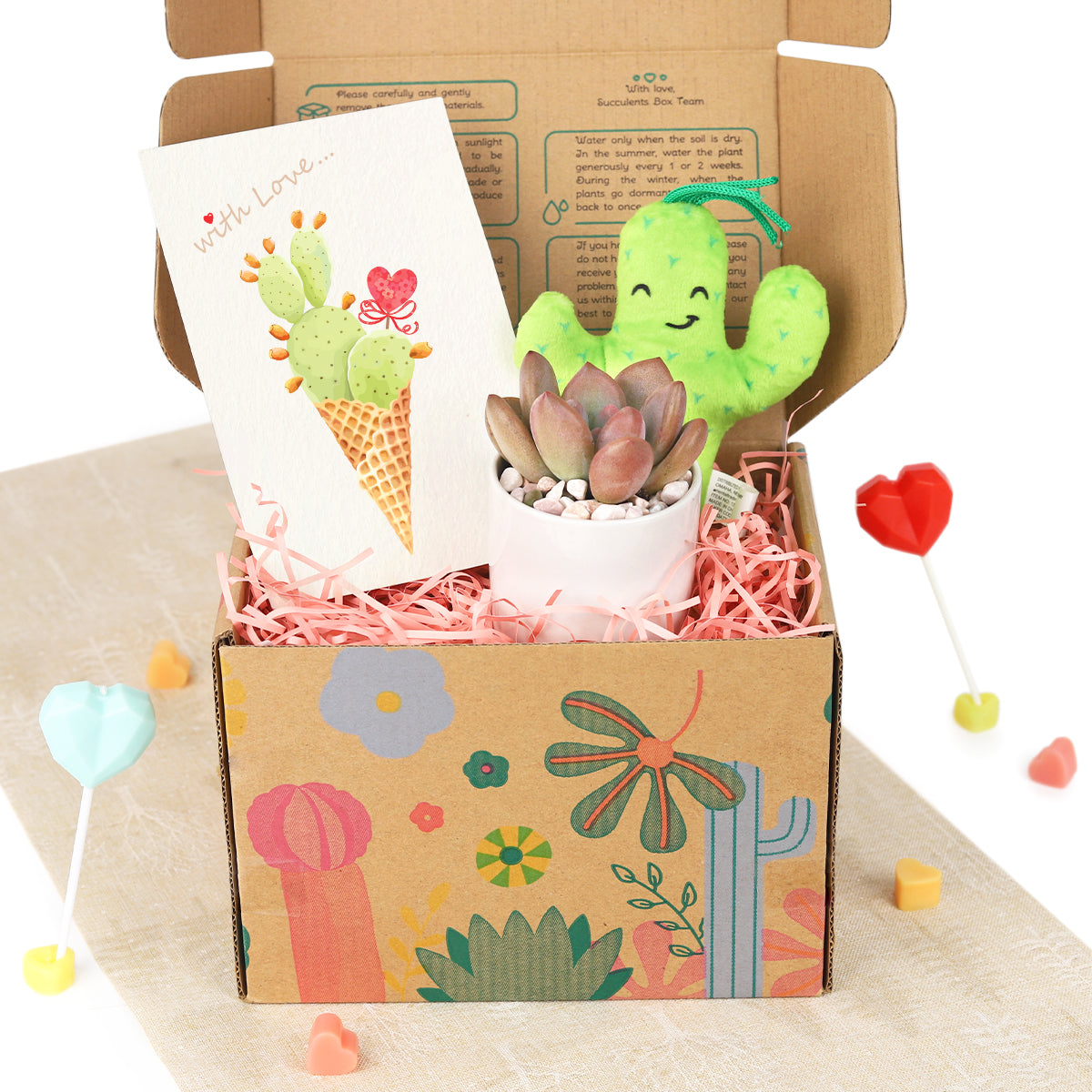  succulent valentine gift, personalized valentine gift, valentine gift near me, valentine gift online