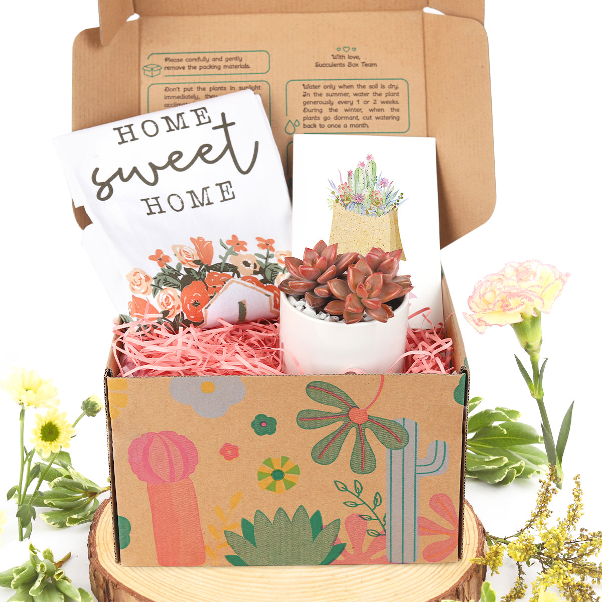 Gift box with succulents, housewarming gift box delivery, housewarming gift box ideas