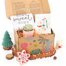 Housewarming Gift Box, Housewarming Gift Box for sale, Succulents Housewarming Gift Box, Succulents Holiday Gift box, gift box with greeting card