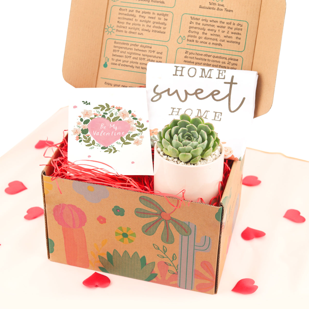 housewarming succulent Housewarming Succulent Gift Box, Happy New Home Gift for Plant Lovers