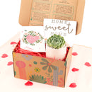 Housewarming Gift Box, Housewarming Gift Box for sale, Succulents Housewarming Gift Box, Succulents Holiday Gift box, gift box with greeting card